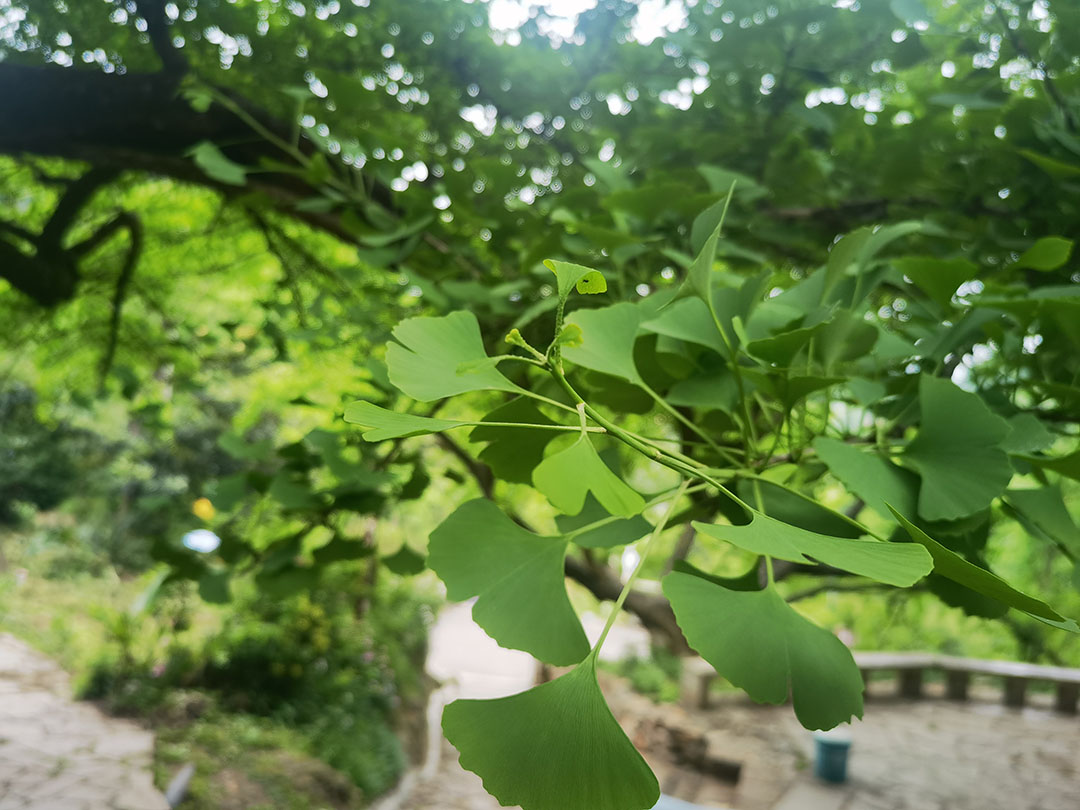 微信图片_20250502111245.jpg