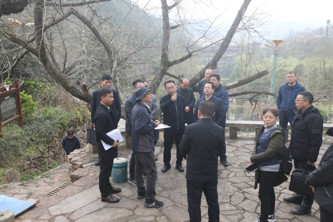 专家咨询会1.png